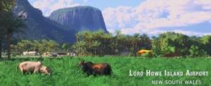MSFS World Update 21 - Lord Howe Island